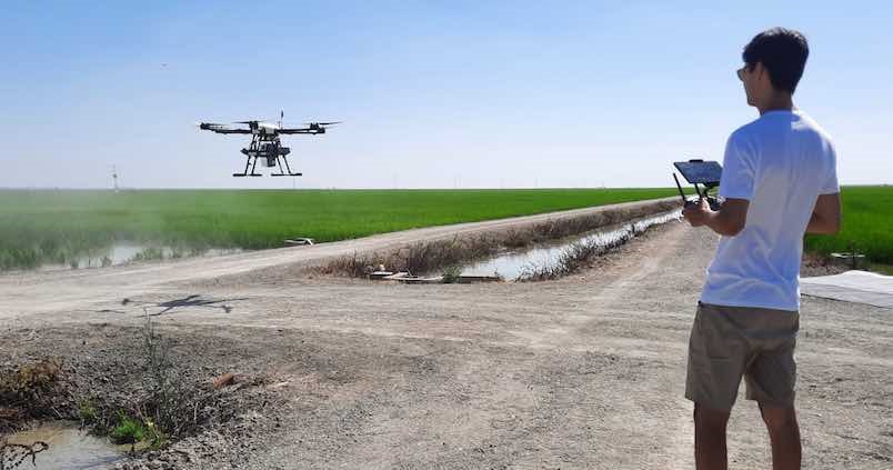 SEVILLAABC.ES/AGRONOMA: La Agencia Espacial Europea elige Sevilla para crear la agricultura del futuro