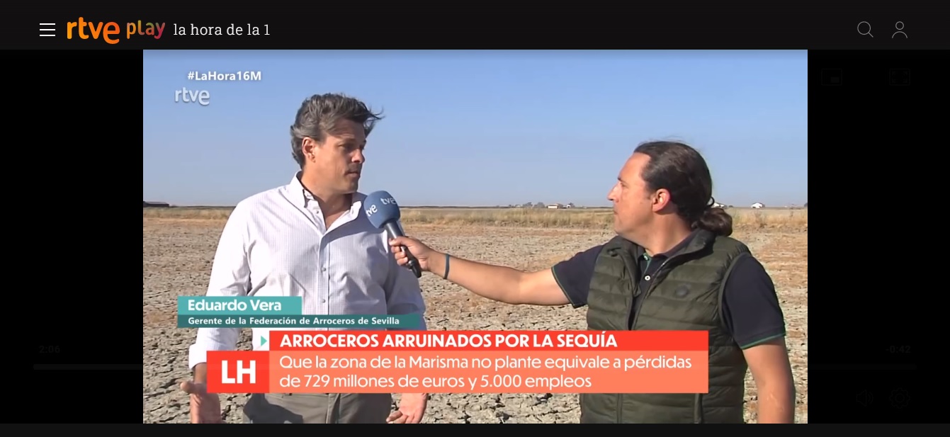 RTVE.ES: Arroceros arruinados por la sequia