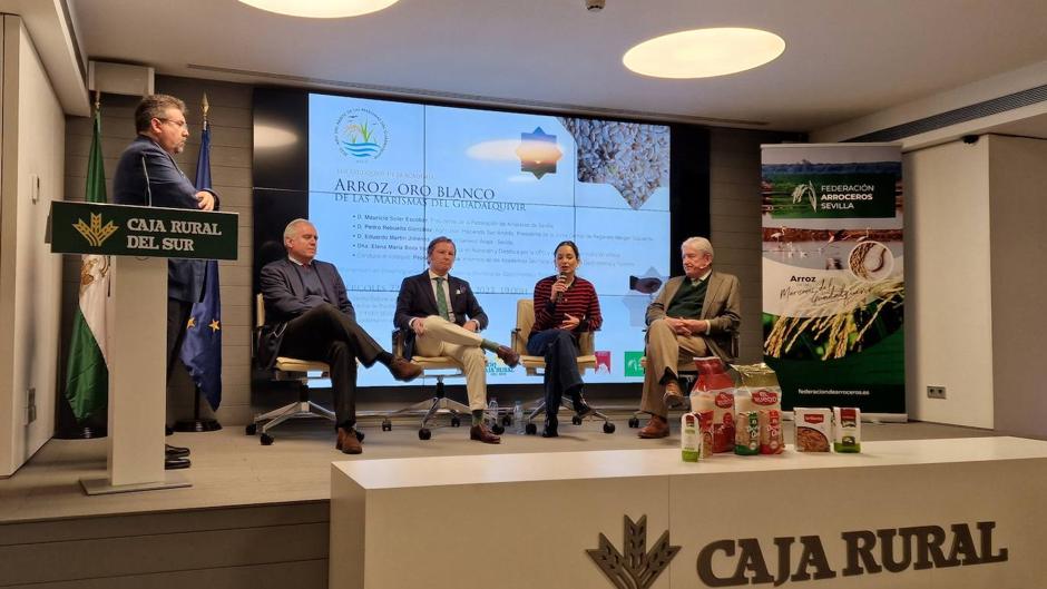 Sevilla ABC.es-GURME: El arroz sevillano, a debate en la Academia Sevillana de Gastronomía y Turismo