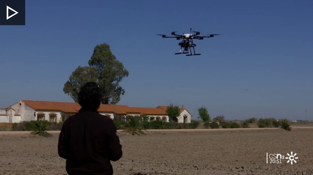 CanalSur.es: Drones para controlar el cultivo del Arroz, cuya siembra peligra.