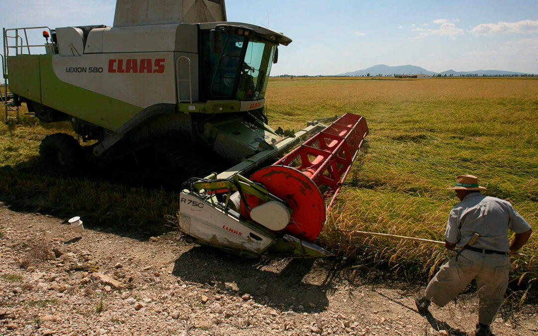 Agroinformación.com: Fuerte varapalo judicial al sector arrocero: la justicia europea anula los aranceles al arroz importado de Camboya y Birmania