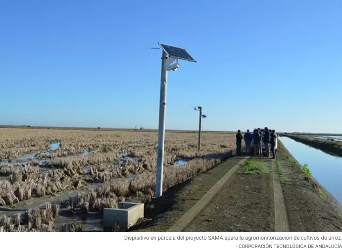 Europapress.es-Andalucía: El proyecto SAMA finaliza tras desarrollar una plataforma de agromonitorización de cultivos del arroz en Cádiz y Sevilla