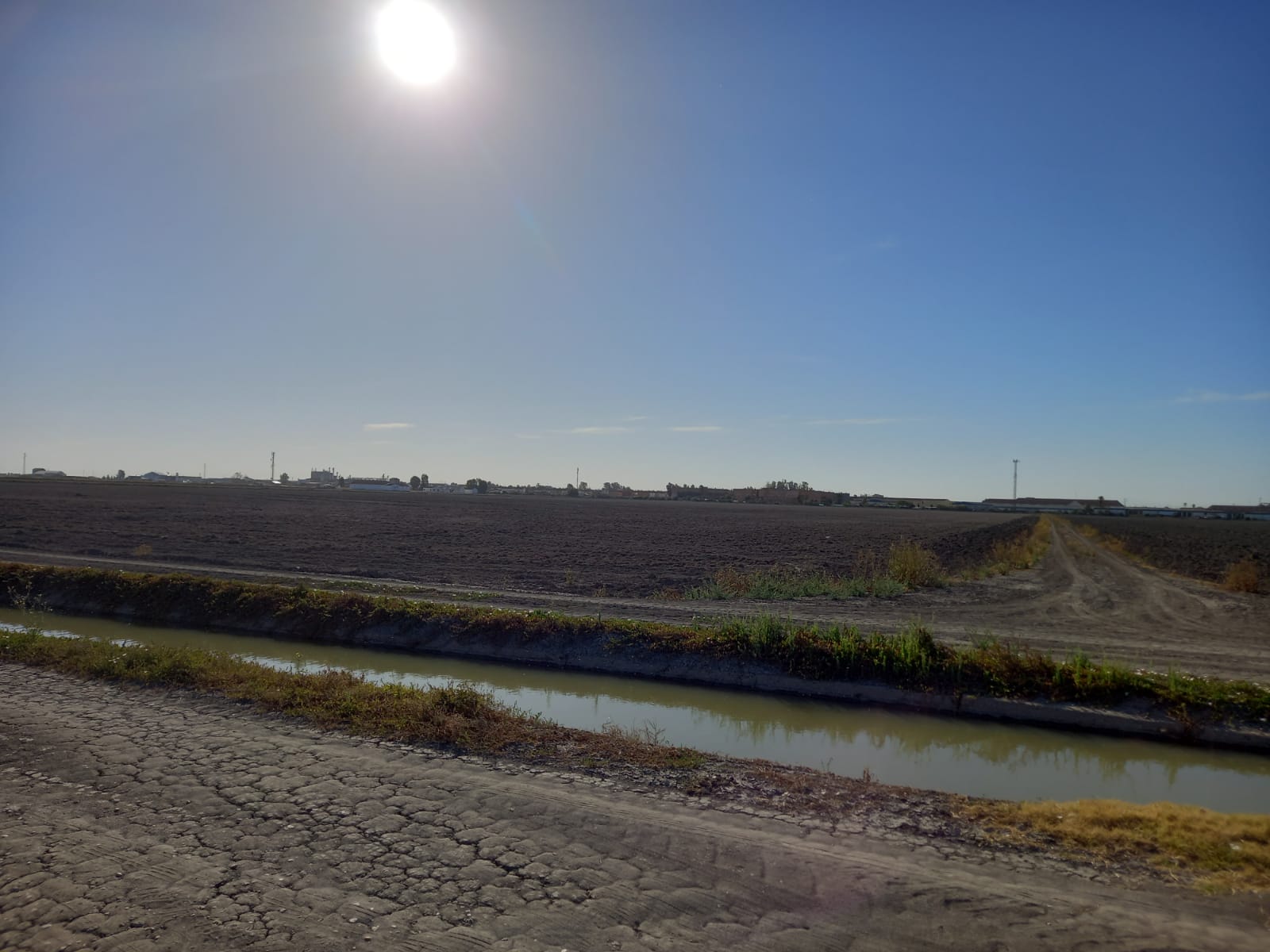 TELECINCO TV noticias: Sequía y mala calidad de agua en los arrozales. Se teme no cubrir gastos