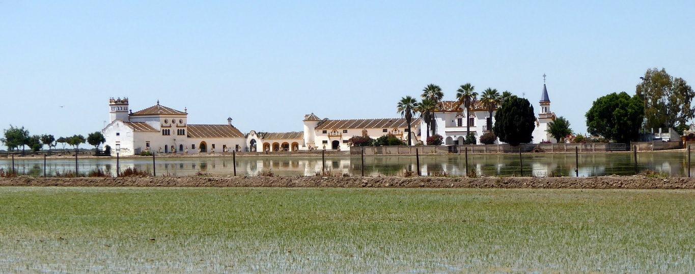 Diario del Viajero. Paisaje y paisanaje en las marismas del Guadalquivir: Isla Mayor, Isla Menor e Isla Mínima