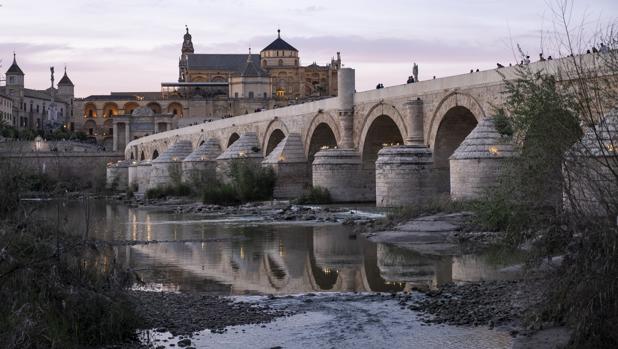 La cuenca del Guadalquivir se compromete a prorrogar un año más la ayuda agroambiental del arroz