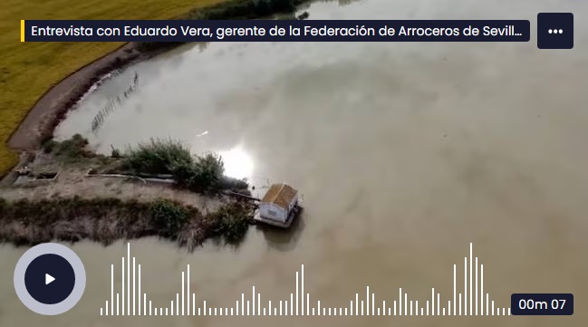 CadenaSer.com-Andalucía: Los arroceros andaluces estiman pérdidas de 700 millones de euros y 5.000 empleos al no poder sembrar este año en el Guadalquivir