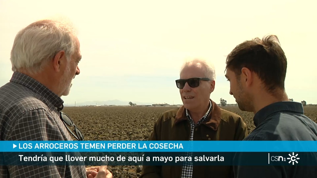 CanalSur.es: Los Arroceros Sevillanos, pendientes del cielo