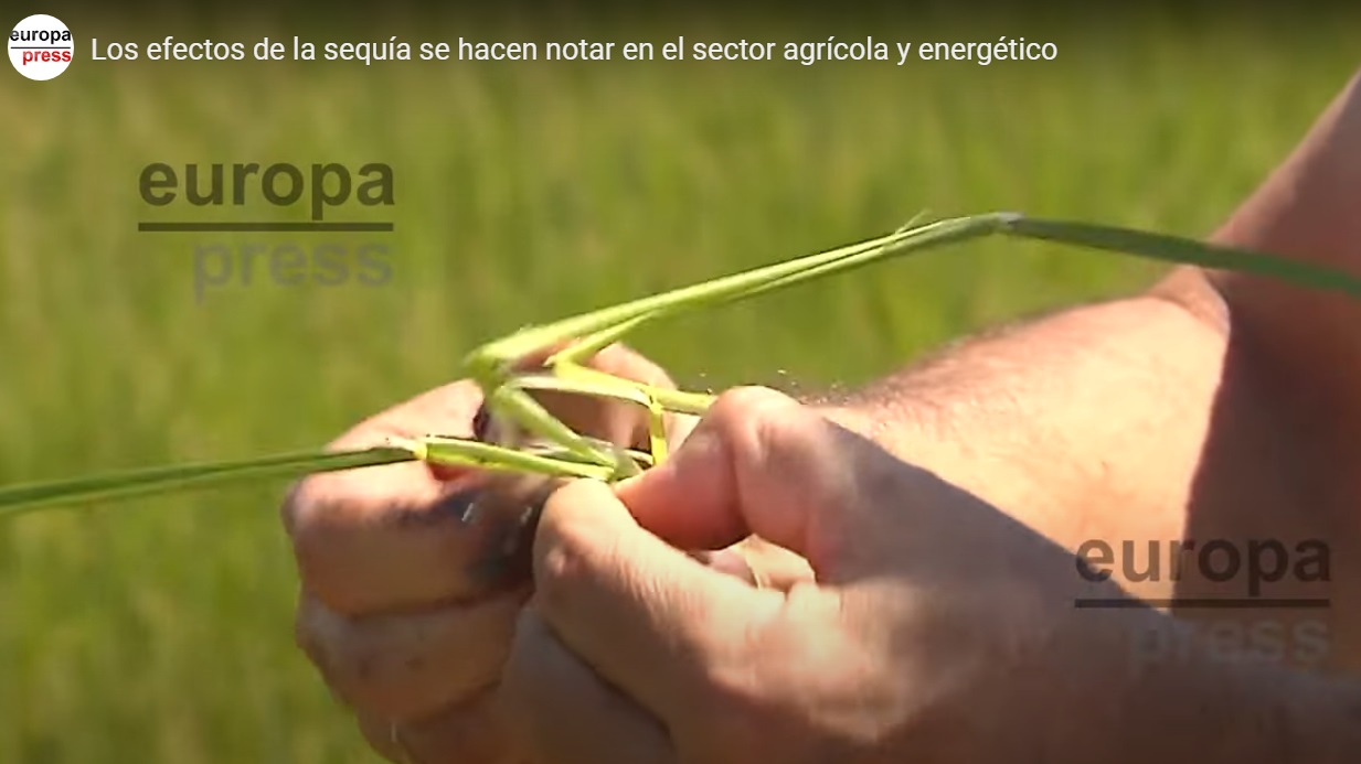 Madridiario.es: Los efectos de la sequía se hacen notar en el sector agrícola y energético