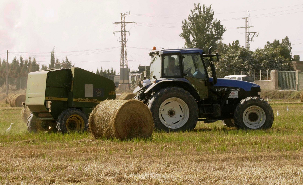 Una empresa usará la paja del arroz para convertirla en envases sostenibles.