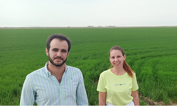 Sevilla. Cosasdecome: Arroz, el oro blanco en grano de Sevilla