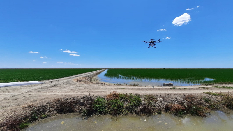 Elplural.com-Andalucía: El futuro de la agricultura germina en el Guadalquivir gracias a satélites espaciales tecnología espacial y la IA