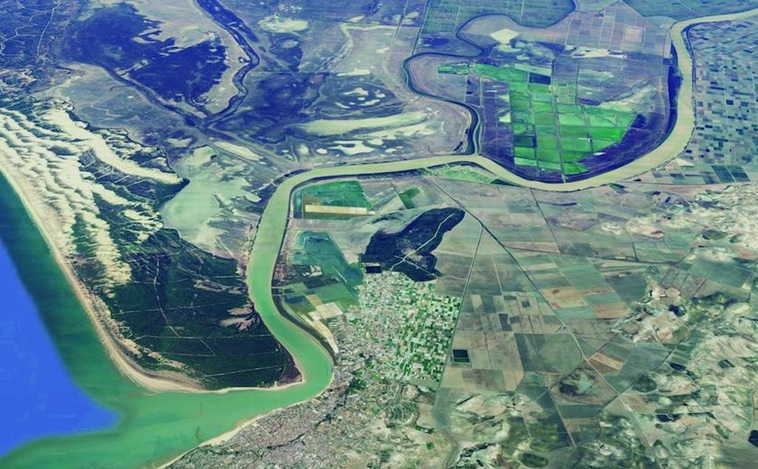 Un humedal de 3.200 hectáreas salva las aves de Doñana