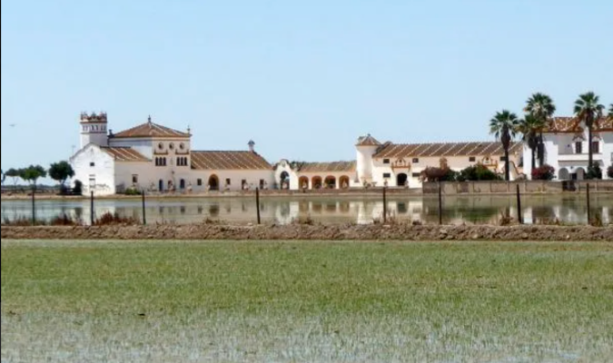 El Correo de Andalucía.es: El Ayuntamiento de Isla Mayor convoca un concurso que incentiva con hasta 10.500 euros en premios las ideas para paliar los efectos de la sequía en su comarca