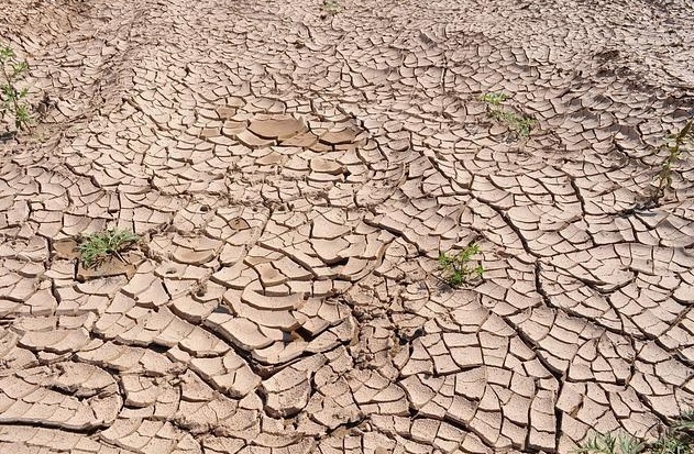 Feragua.com: La situación hidrológica y la dotación deficitaria para la campaña de riego en casi todas las cuencas marcan negativamente la primera mitad del año